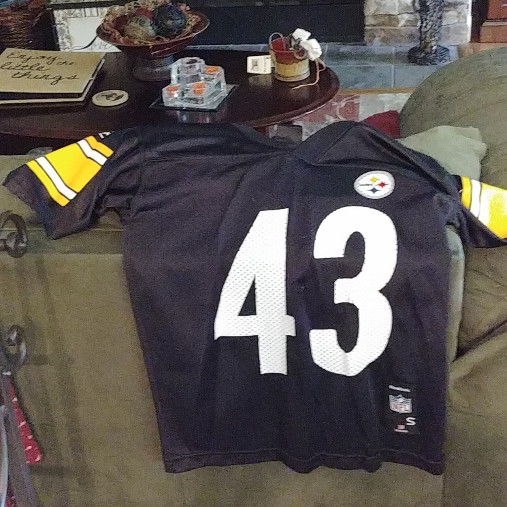 Troy Polamalu Jersey